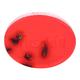 Fuschia Natural Handmade Soap - Rose & Petals 100 gm - Soaps