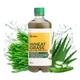 Unifibe Wheatgrass with Aloevera Juice 500 ml - Ayurvedic Juices