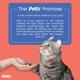 Pettr Cat Fishing Wand Toy 1's - Pet accessories