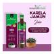 NourishVitals Karela Jamun Juice 500 ml - Ayurvedic Juices
