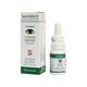 Dr Willmar Schwabe Germany Cineraria Maritima Without Alcohol Eye Drop 10 ml - Speciality Medicine