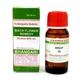 Bhandari Bach Flower Holly 30 Liquid 30 ml - Bach Flower
