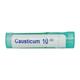 Boiron Causticum 10M Multi Dose PELLETS 4 GM - Triturations (Homeo Tablets)