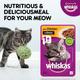 Whiskas Adult Chicken in Gravy (Pack of 85gm x 96) 8160 gm - Petfood