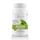Four Seasons Karela Powder 100 gm - Diabetes Care (Ayush)