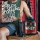 Optimum Nutrition (ON) 100% Whey Gold Standard Powder - Double Rich Chocolate 10 lb - Whey Proteins