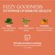 Kapiva Warrior Fizz Drink Powder - Orange Flavour (Pack of 20 x 5 gm) - Health Products