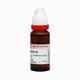 Dr. Reckeweg Angelica Archang Ø Liquid 20 ml - Mother Tincture