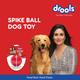 Drools Non-Toxic Rubber Stud Spike Hard Ball Chew Toy, Puppy/Dog Teething Toy - 3 inches 1's - Pet accessories