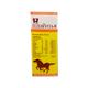 Dr.Wellmans Elixirvita-8 Tonic 120 ml - Speciality Medicine