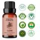 Essentia Extracts Pure Essential Oil - Clove 15 ml - Essential Oils