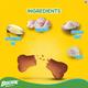 Pedigree Biscrok Biscuits - Chicken Flavour 900 gm - Petfood