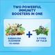 Sapat Ayusas Immunity Booster Syrup 200 ml - Cough Syrup