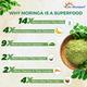 Dr. Morepen Moringa Tablet 60's - Herbal Dietary Supplement