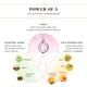 Sesa Onion Hair Growth & Damage Repair Kit (Sesa Onion Hair Oil 200 ml + Sesa Onion Shampoo 300 ml + Sesa Onion Conditioner 300 ml) - Personal Care (Ayush)