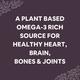 CF Flax Seed Oil 1250 mg Softgel Capsule 60's - Herbal Dietary Supplement