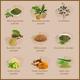 Health Veda Plant Based Joint Support 1000 mg Veg Capsule 60's - Calcium And Minerals