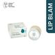 BBB Better Body Bombay Lip Balm- Aloe & Coconut 10 gm - Lip Balms