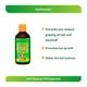 Dr.Vaidya's Herbo Cool Hair Tonic 200 ml - Hair Oils