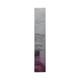 TRICHOFINE PLUS Shampoo 200ml - Hair Loss-Oth