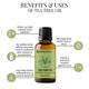 Essentia Extracts Pure Essential Oil Combo (Lavender 15 ml + Tea Tree 15 ml + Ylang Ylang 15 ml) 1 ml - Essential Oils