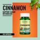 Morpheme Remedies Cinnamon 500mg Extract 60's - Digestive Health