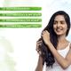 Mamaearth Hair Oil - Tea Tree 250 ml - Hair Oils