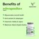 Vedistry Ashwagandha+ Tablet (Pack of 3 x 60's) 1's - Speciality Medicines