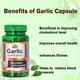 Cipzer Dietary Supplement Capsule - Garlic 60's - General Health