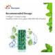 Dr. Morepen Pudina Gels (Pack of 2 X 10's) - Speciality Medicines