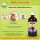 Basic Ayurveda Jamun Ras 500 ml - Ayurvedic Juices