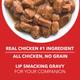Drools Puppy Wet Dog Food, Real Chicken and Chicken Liver Chunks in Gravy, 15 Pouches (15 x 150g) 2250 gm - Petfood