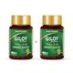 Jagat Pharma Giloy Extract Plus Veg Capsule (Pack of 2 x 60's) - Giloy