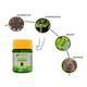 Dr.Vaidya's Migrox Capsule (Pack of 2 x 30's) - Speciality Medicines