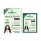 Wheezal Hair Color - Black (Pouch) 20 g - Personal Care(Homeopathy)