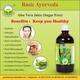 Basic Ayurveda Aloe Vera Juice (Sugar Free) 500 ml - Ayurvedic Juices