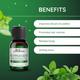 Satthwa 100% Pure Essential Oil - Peppermint 15 ml - Essential Oils