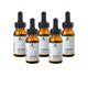 Age Ayurveda Nasja Herbal Nasal Drops Oil (Pack of 5 x 30 ml) - Speciality Medicines