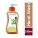 Patanjali Herbal Handwash 250 ml (N) - Hand Wash & Soaps