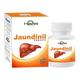 Hashmi Jaundinil Capsule 20's - Hashmi