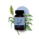 Balance Ayurveda The Balance Piles Capsules 60's - Speciality Medicines