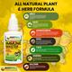Bodywell Immune Master Drops (Pack of 2 x 40 ml) - General Health