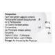 DIPENT SR Capsule 10's - Ulcer/Reflux/Flatulence-Aaa