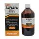 Haslab Alfalfa Super Abcd Tonic 115 ML - Speciality Medicine