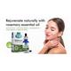 Nectar Valley Rosemary Essential Oil 30 ml - Essential Oils