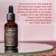 Satthwa 100% Cold Pressed Oil - Moroccan Argan Oil 30 ml - Carrier Oils