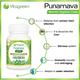 VitaGreen Punarnava Capsules 60's - Herbal Dietary Supplement