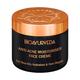 Bioayurveda Anti-Acne Moisturiser Face Creme 60 gm - Face Creams