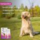 Wiggles Eraditch Spot on for Dogs Fleas Ticks Remover Treatment Drops 4.02 ml - Pet Grooming