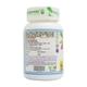 Planet Ayurveda Rencure Formula Capsules 60's - Speciality Medicines